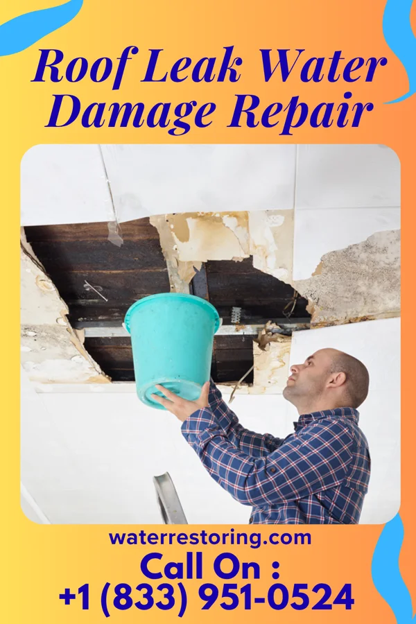 Roof Leak Water Damage Repair in Bagley, IA